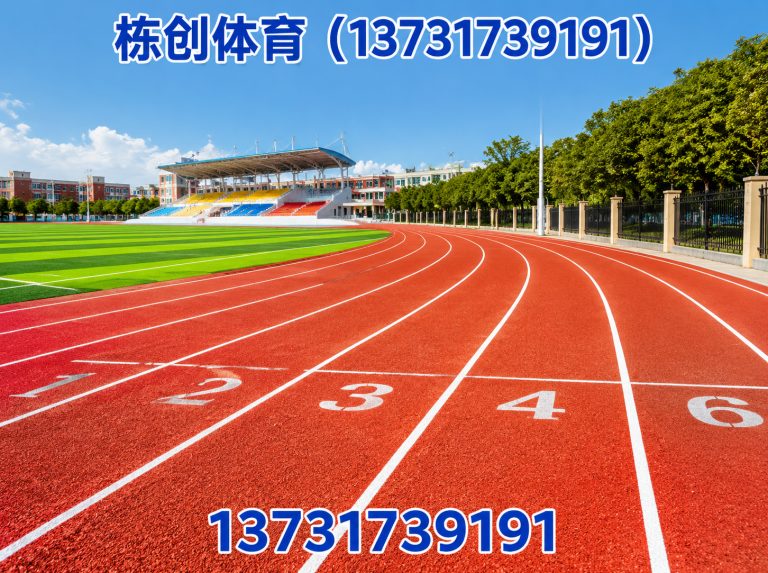 沧州渤海新区塑胶跑道展示图
